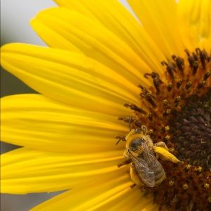 Meet your Posher, Thanusha